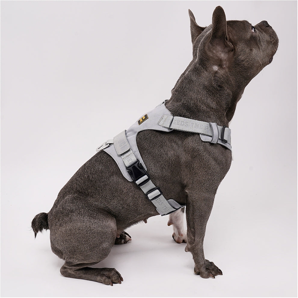 PAWKEMON Premium Light Harness