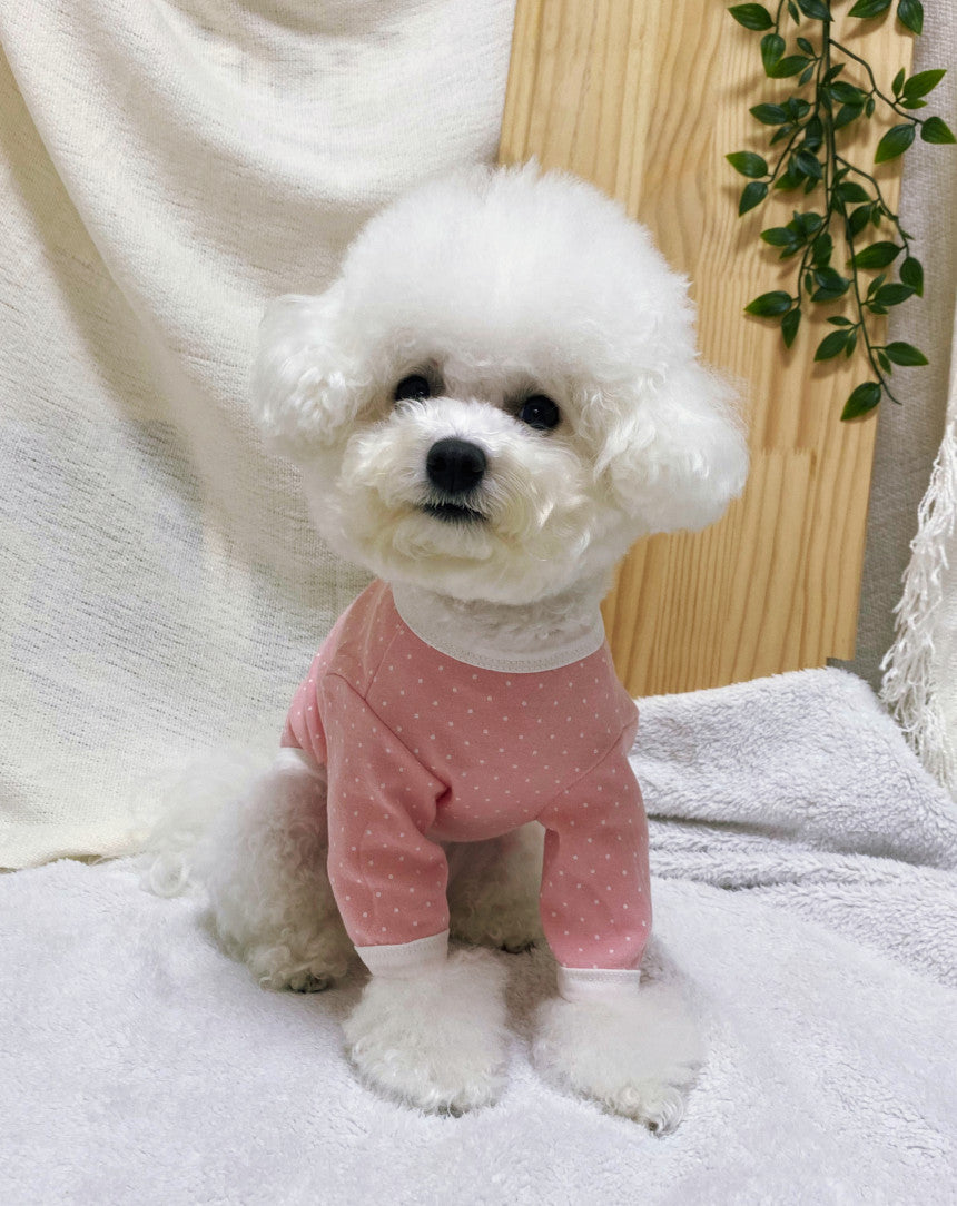 dog clothing longsleeves