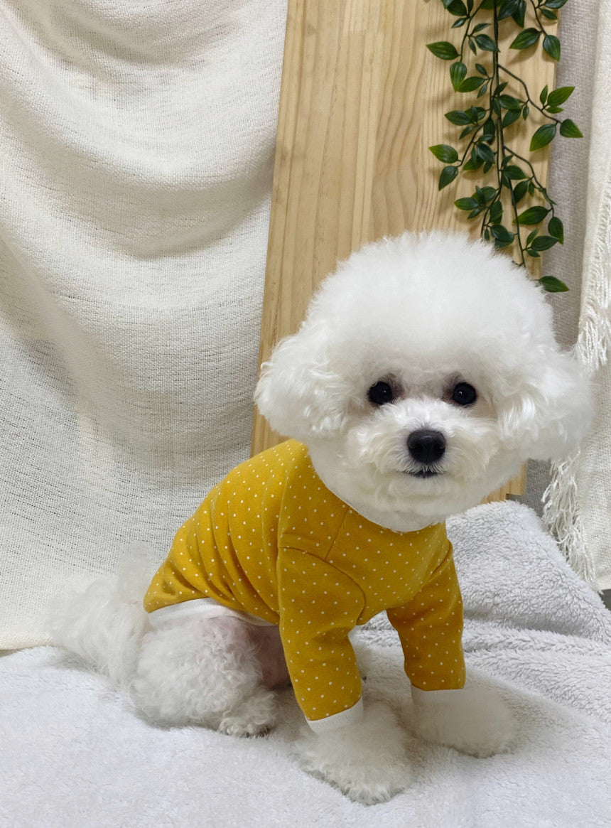 dog clothing longsleeves