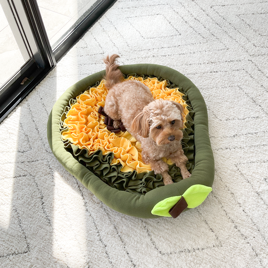 Pawkemon Avocado Nosework Dog Mat