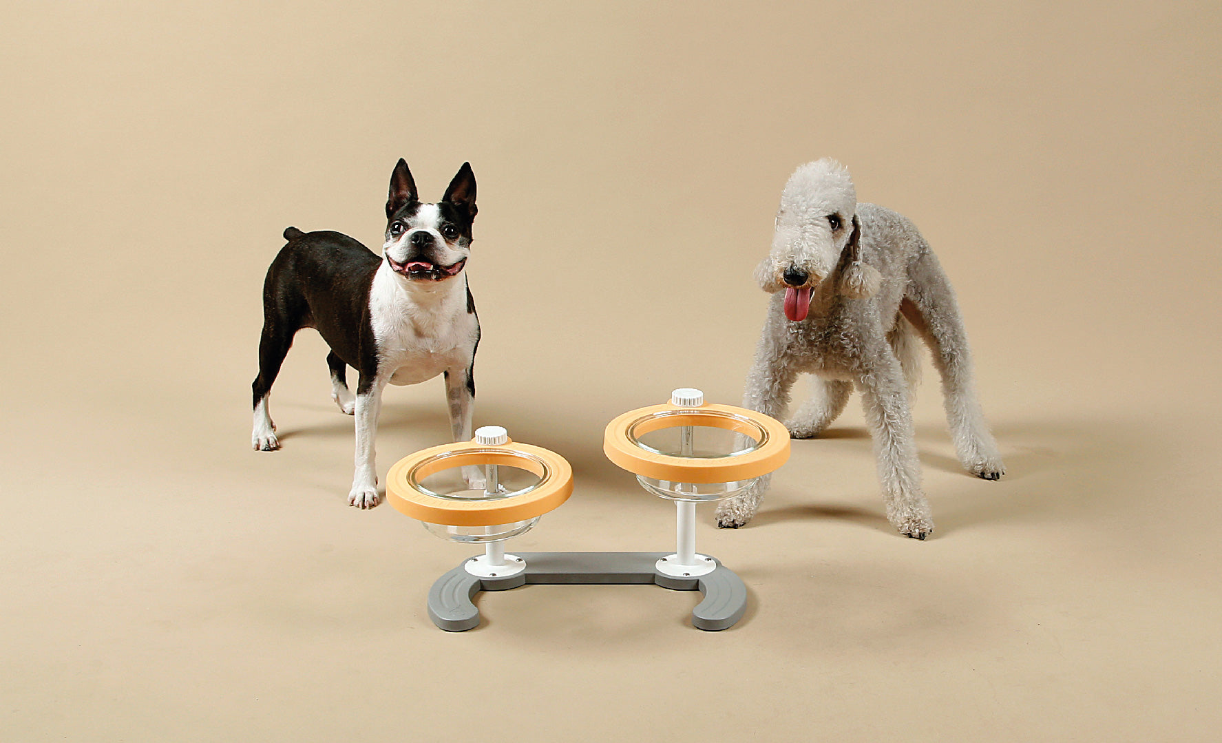 Load video: Premium Adjustable Glass Pet Feeding Bowl