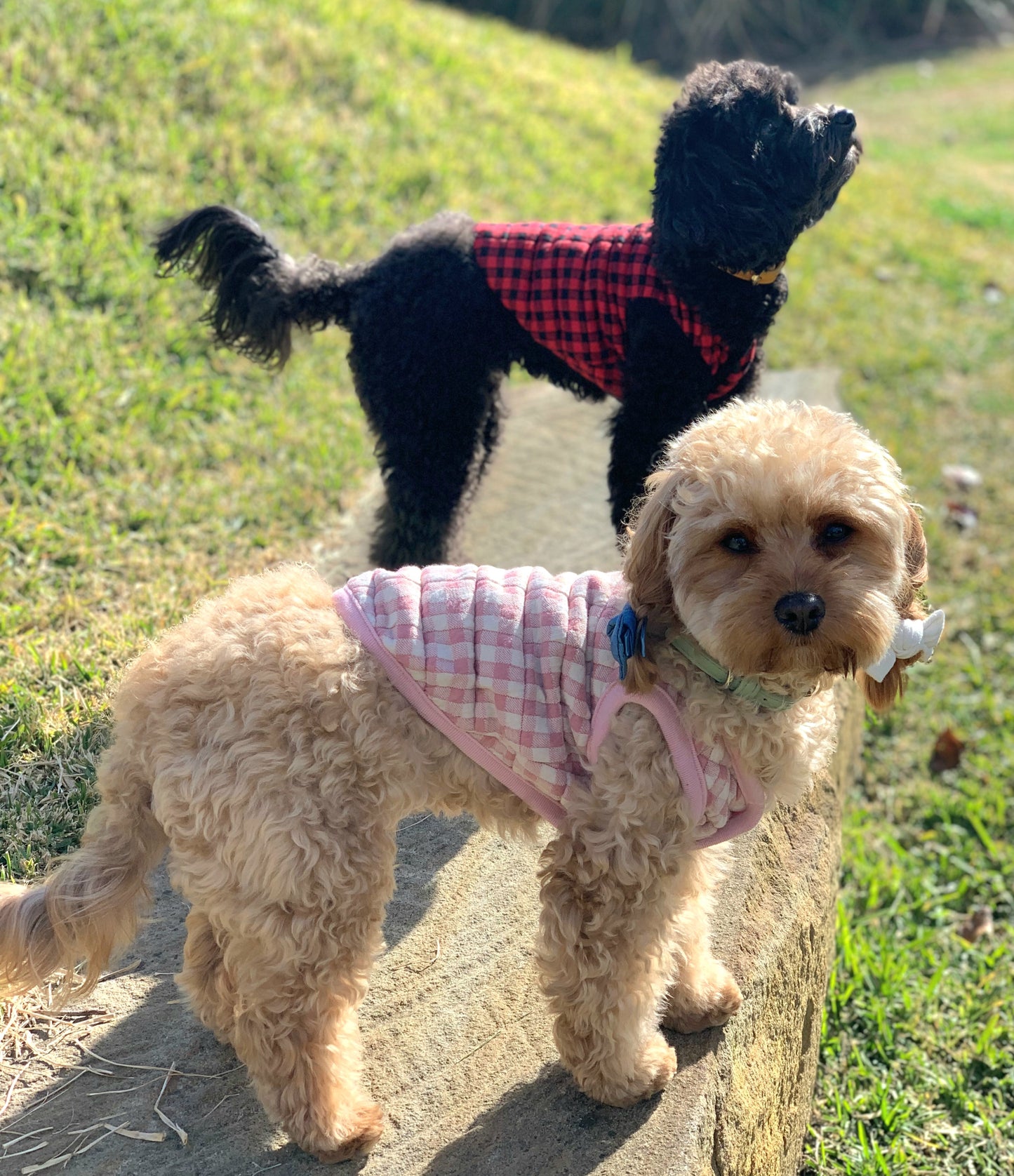 Buffalo check vest