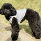 Fleece vest