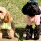 Pocket points fleece