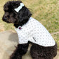 Dot jacket