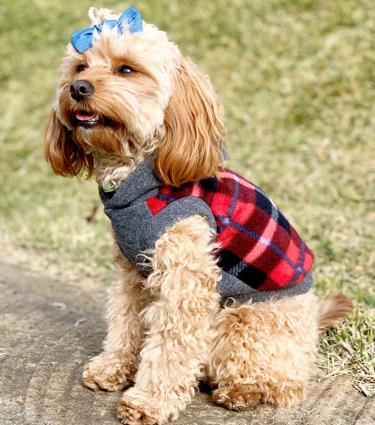 Tartan check hoodie