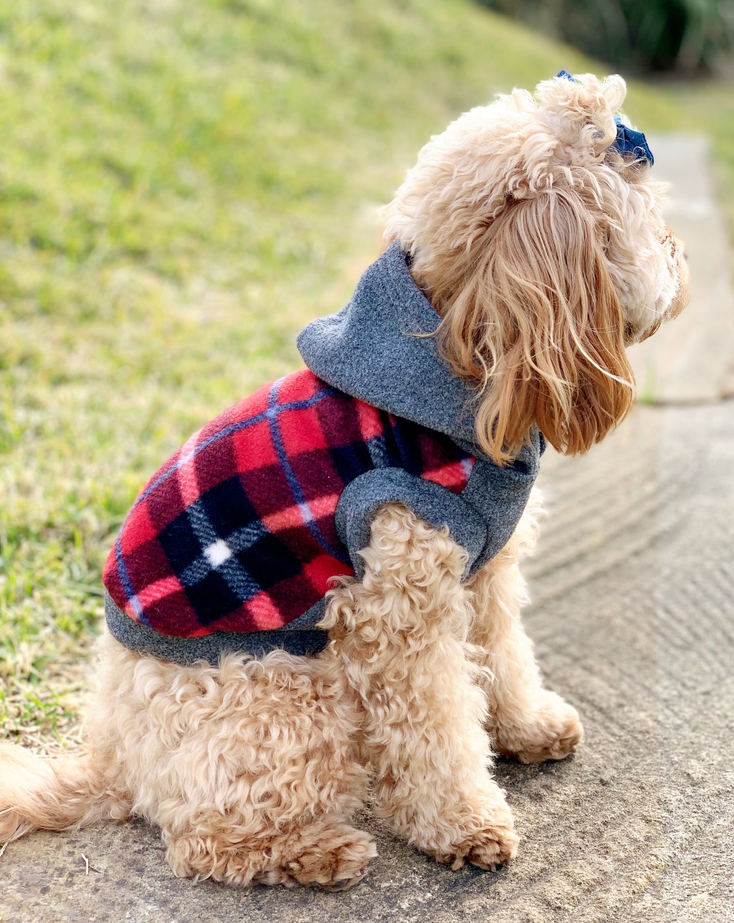 Tartan check hoodie