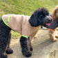 Neon teddy zip-up