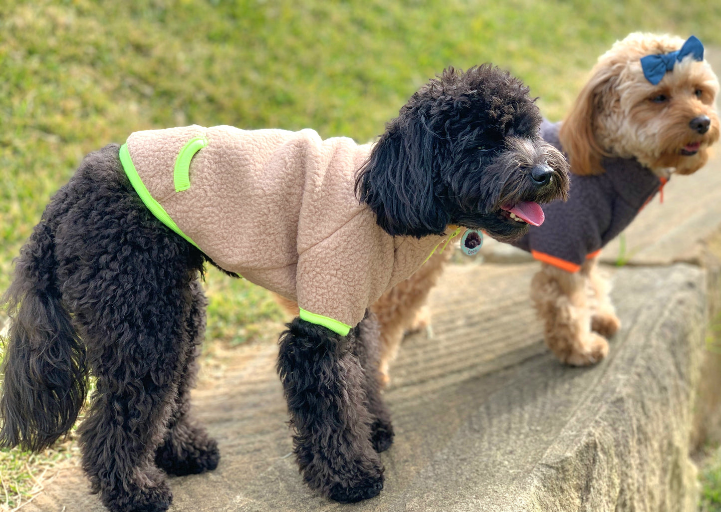 Neon teddy zip-up