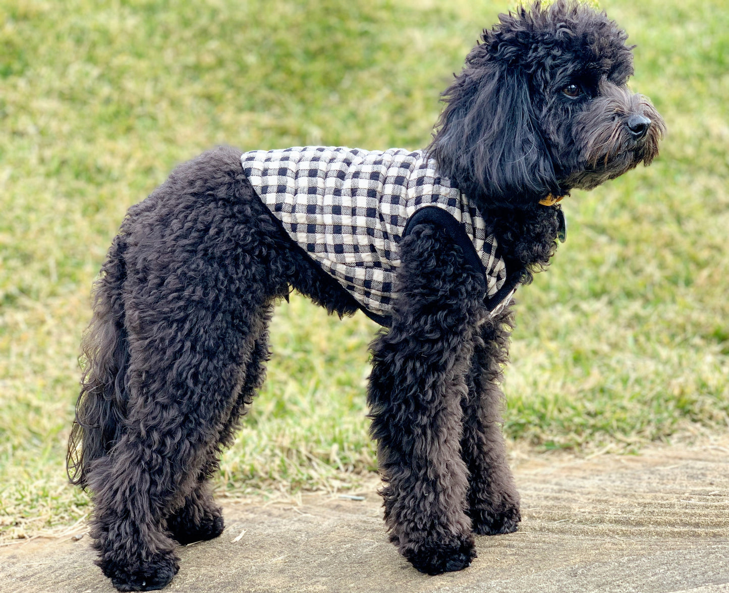 Buffalo check vest