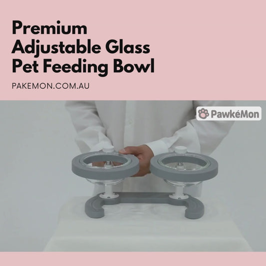 PAWKEMON Premium Adjustable Glass Pet Feeding Bowl