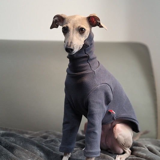 Iggy clothing