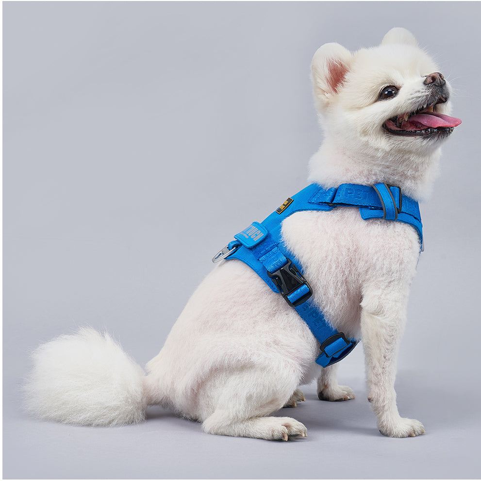 PAWKEMON Premium Light Harness