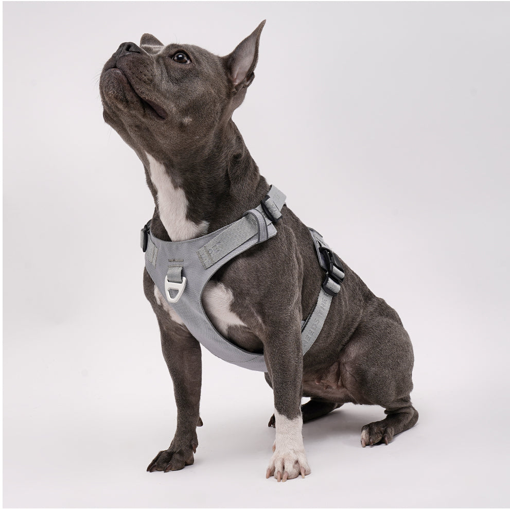 PAWKEMON Premium Light Harness