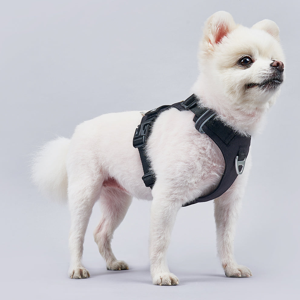 PAWKEMON Premium Light Harness