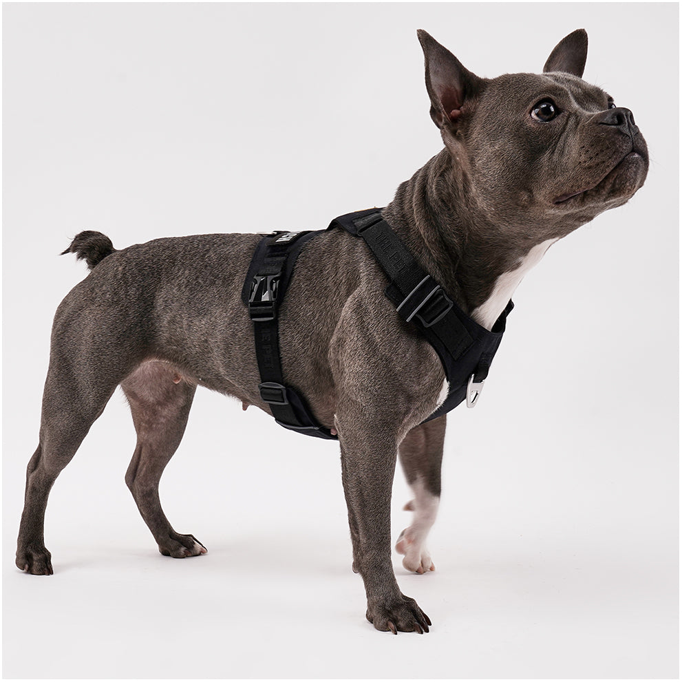 PAWKEMON Premium Light Harness