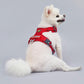 PAWKEMON Premium Light Harness