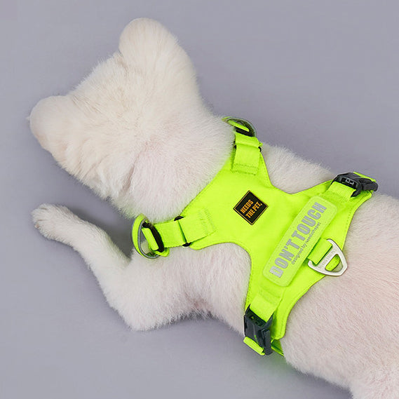 PAWKEMON Premium Light Harness