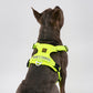 PAWKEMON Premium Light Harness