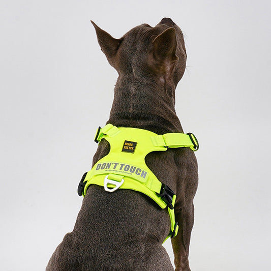 PAWKEMON Premium Light Harness