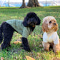 Quilted jacket