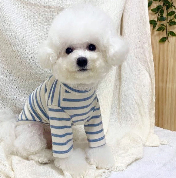 dog clothing_longsleeves