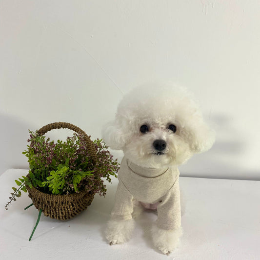 dog clothing_jumper