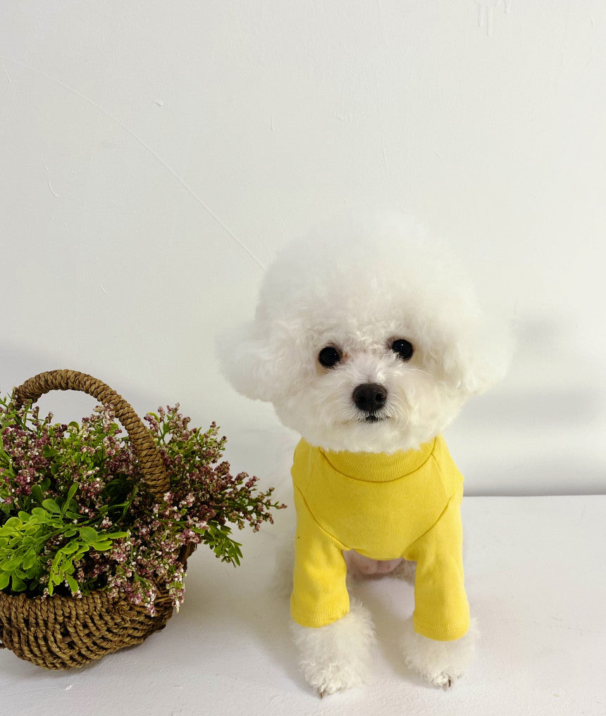 dog clothing_jumper