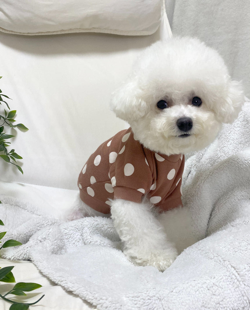 dogclothing_jumper