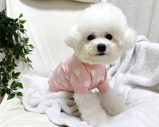 dogclothing_jumper