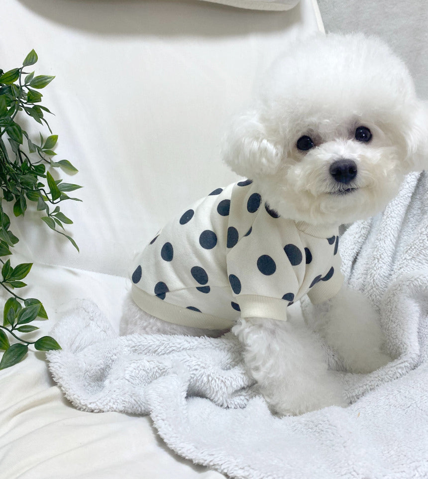dogclothing_jumper