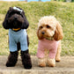 dog clothing knit
