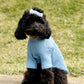dog clothing knit