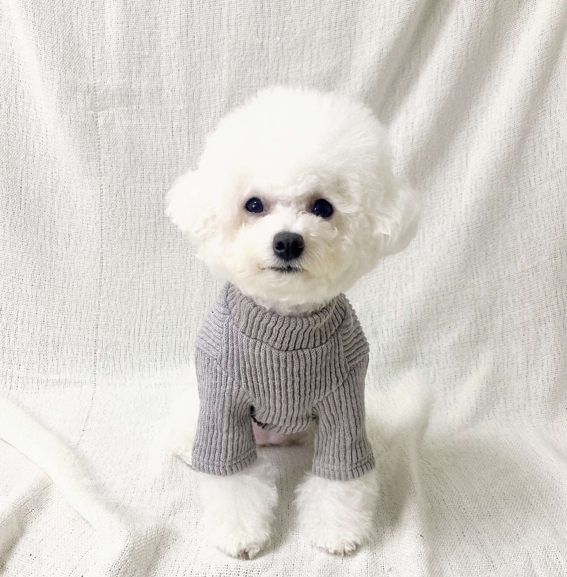 dog clothing knit