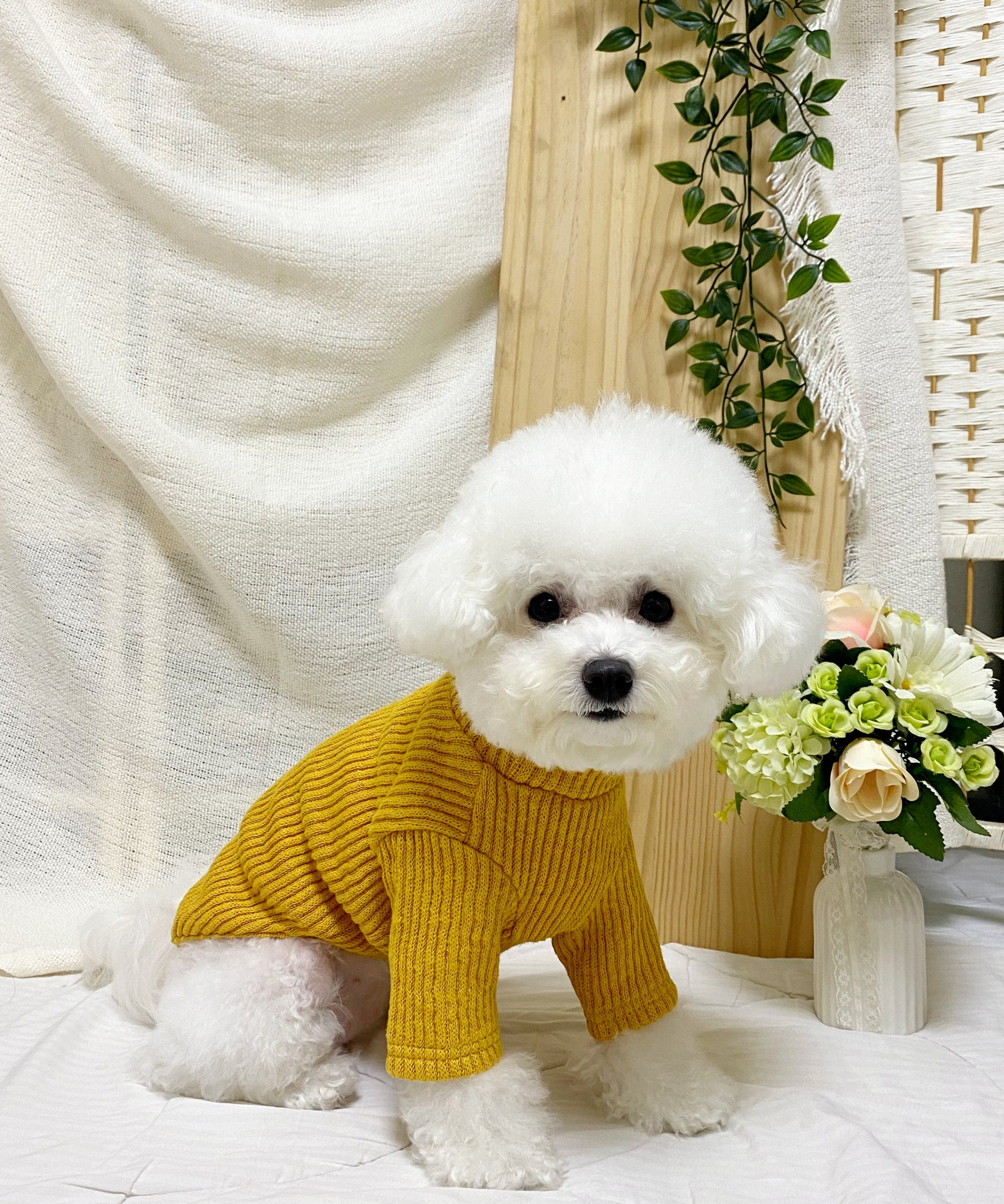 dog clothing knit