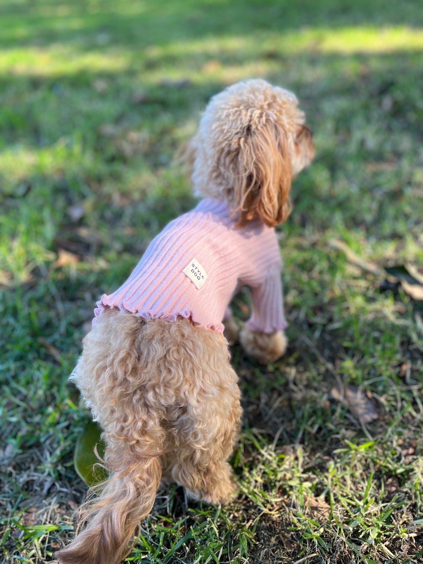 dog clothing knit