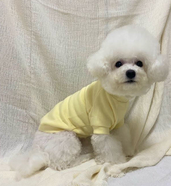 dog clothing jumper