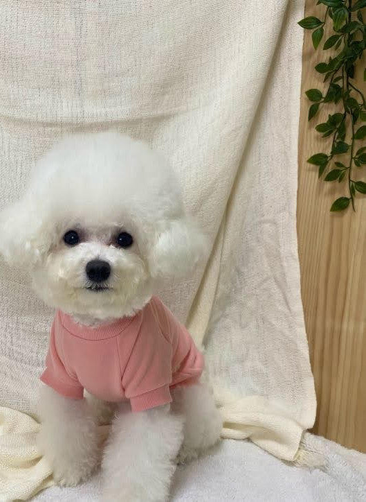 dog clothing jumper