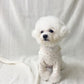 dog clothing