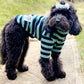 dog clothing knit