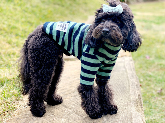 dog clothing knit