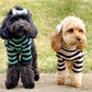 dog clothing knit