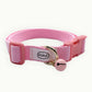 dog collar